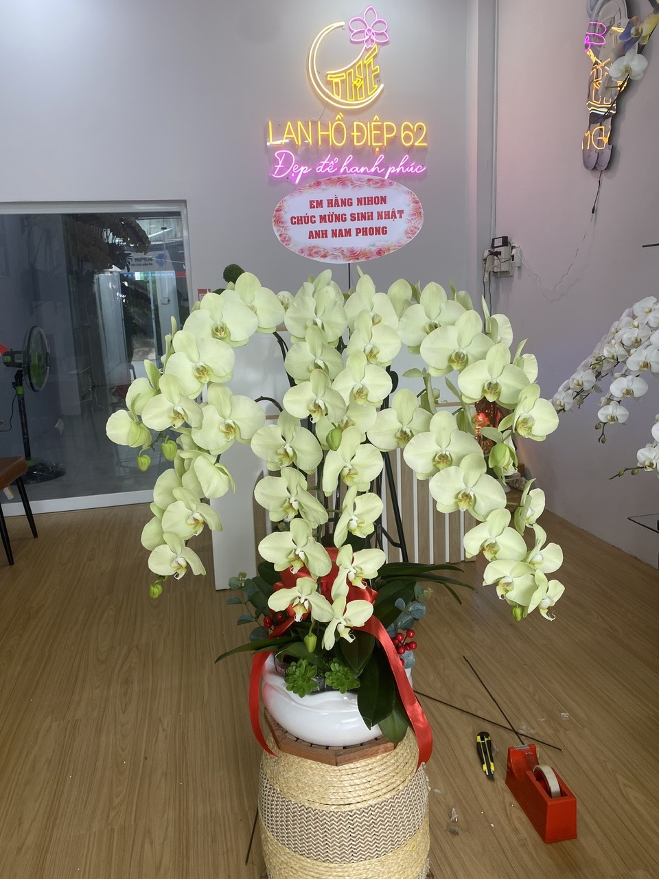 Chậu Lan Xanh Ngọc Thanh Lãnh